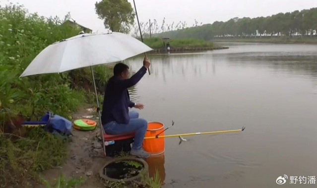 开云网页-老祖宗传的24字钓鱼谚语，吃透了，春夏秋冬钓啥鱼都不白跑|太阳|钓鱼技巧|水温|雨后|深水区_新浪体育_新浪新闻